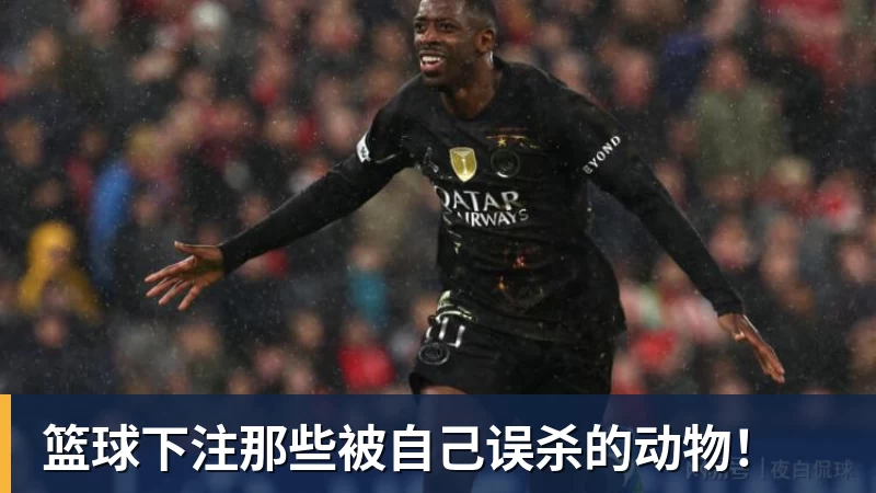 篮球下注那些被自己误杀的动物！